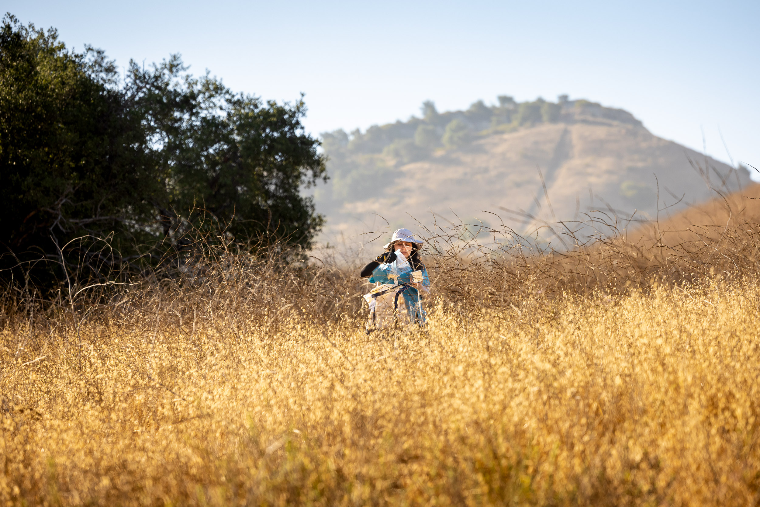 A student collects data in an open field in Weir Canyon