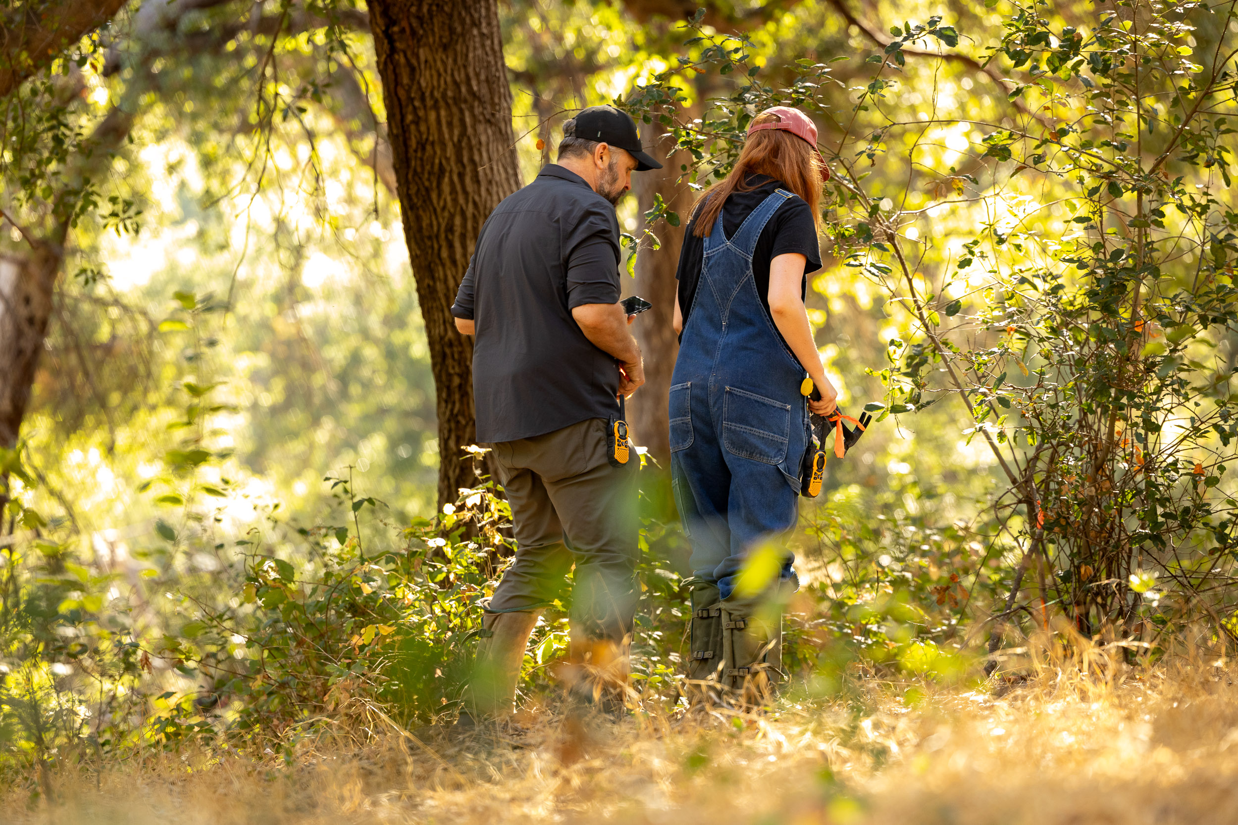 A professor and student examine vegetation in a shaded wooded area.