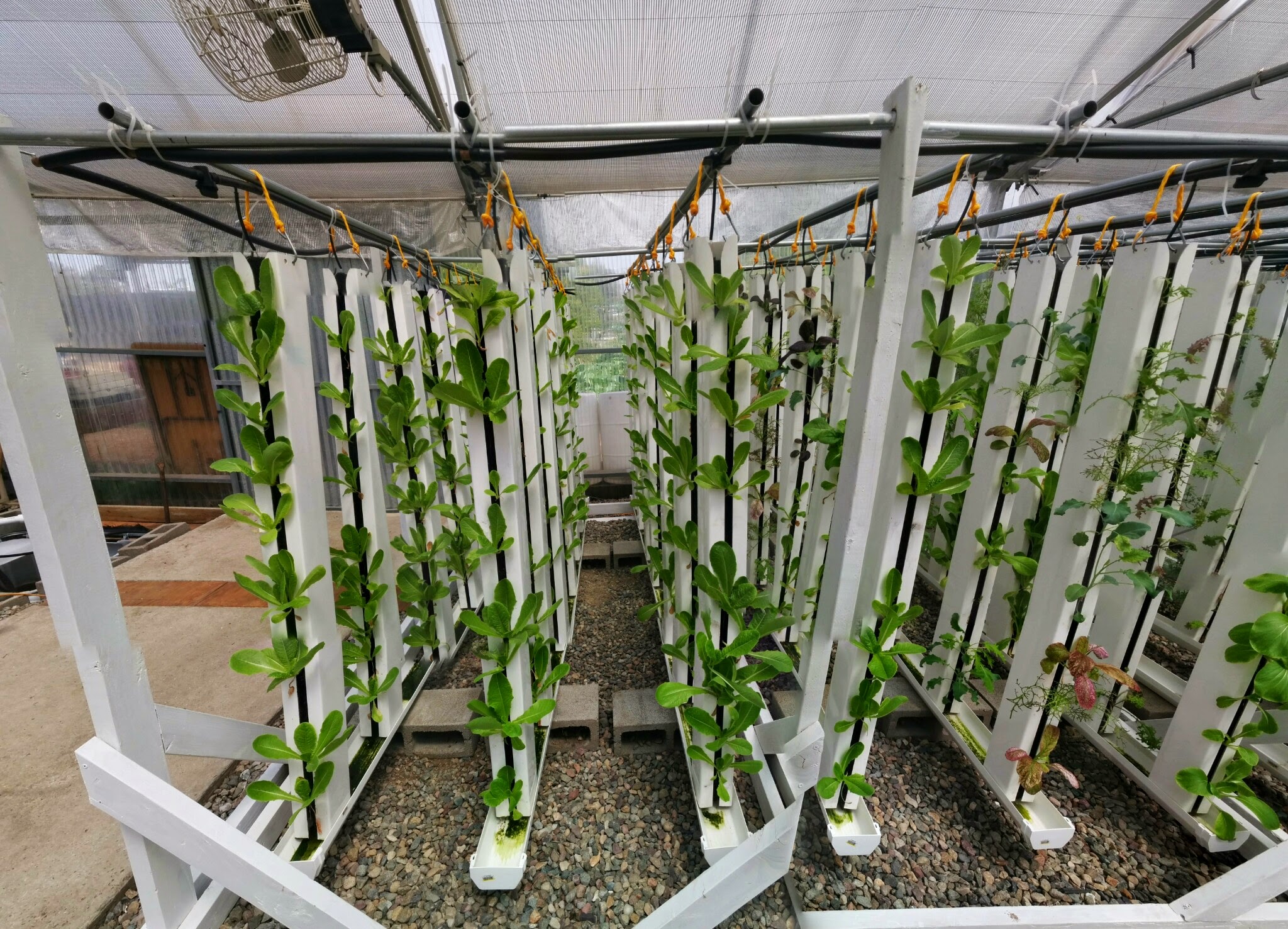 David Hedden Vertical Aquaponic Greenhouse