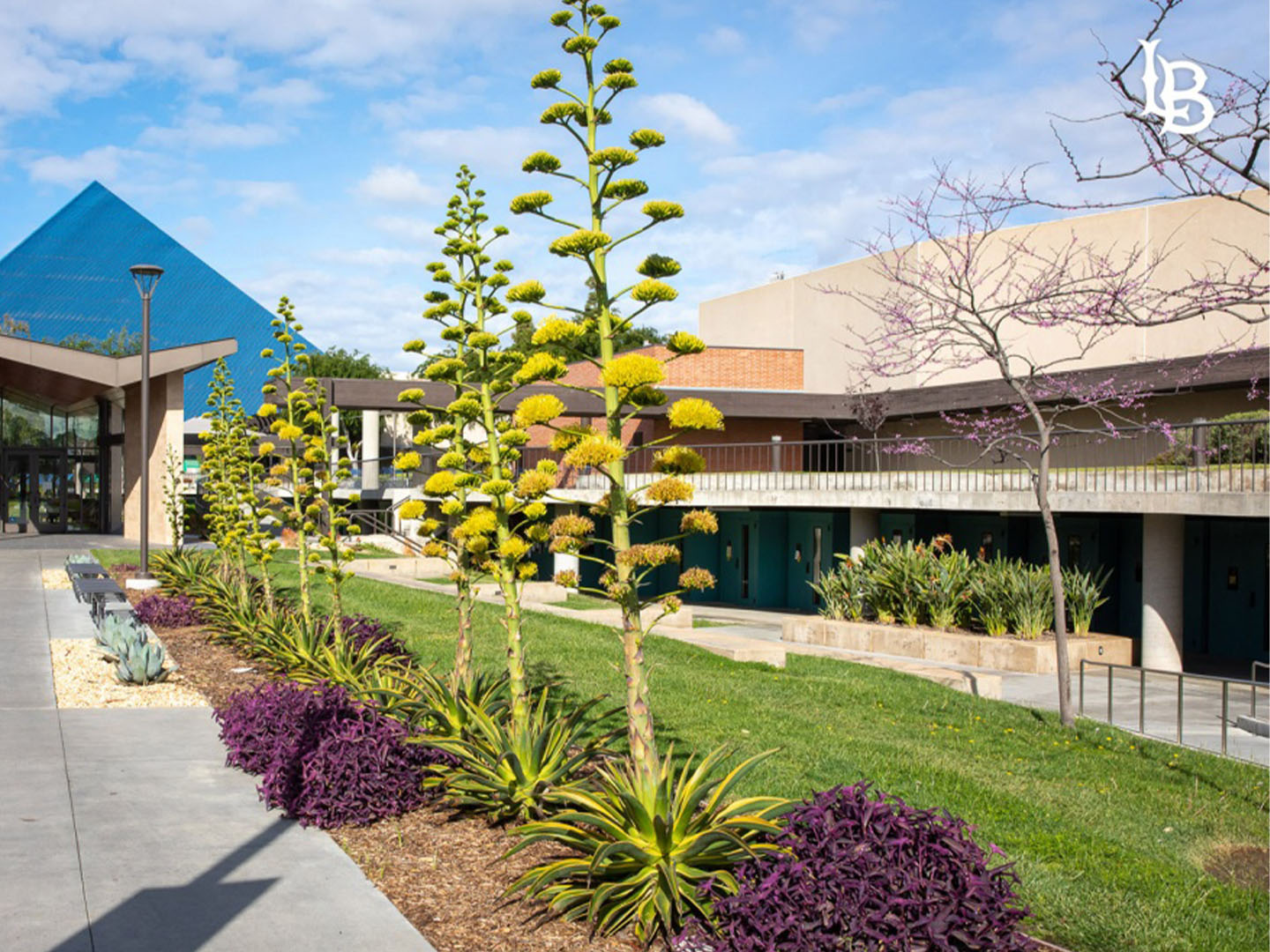 Bob Cole Music Conservatory