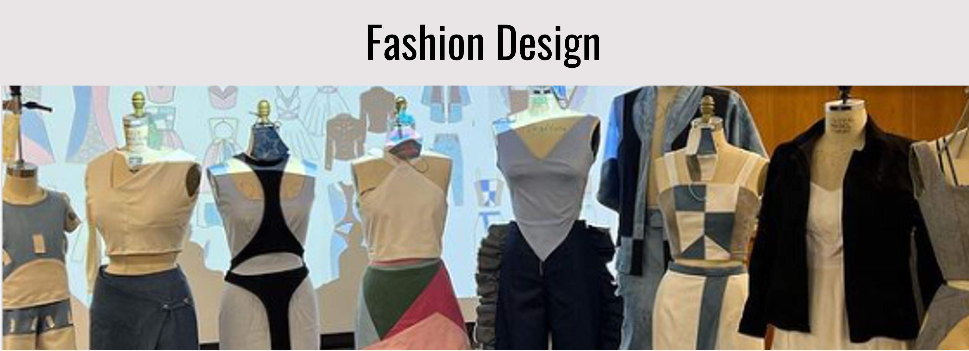 Link to Fashion Design option