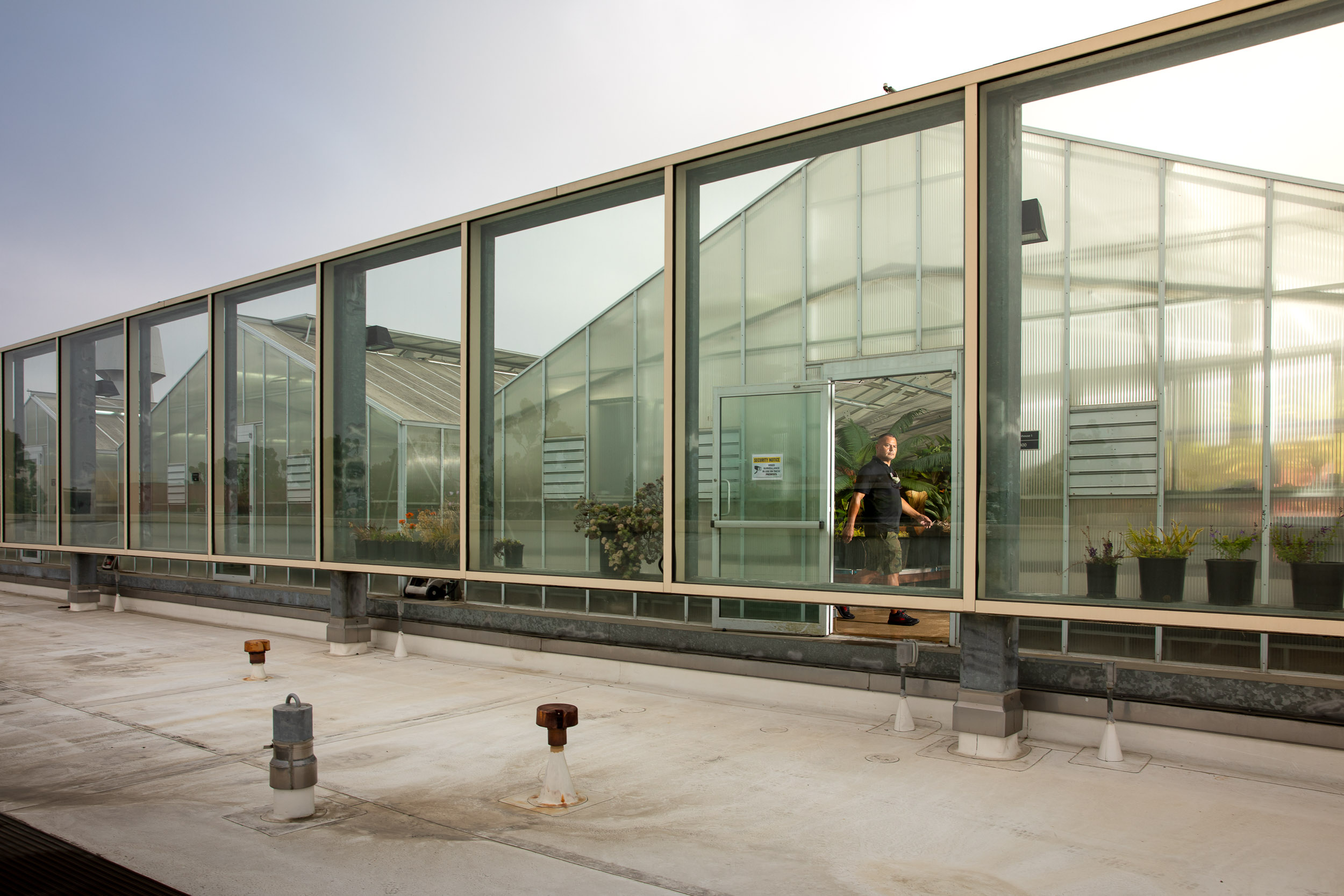 Three rooftop greenhouses with plants under artificial lights