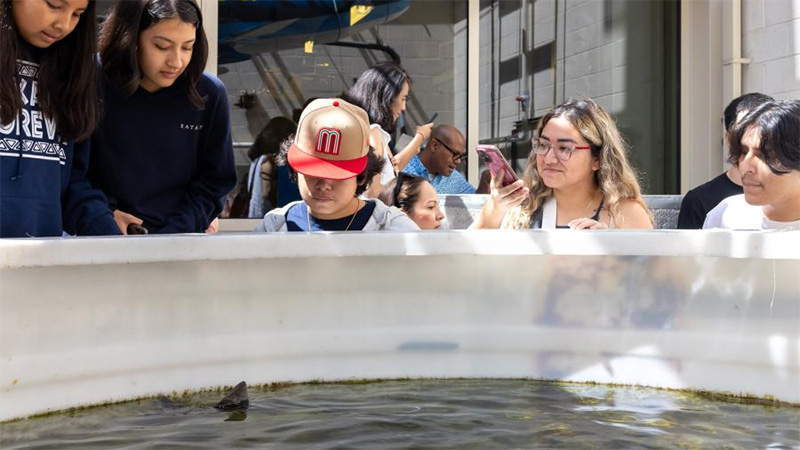 kids watching a small shark in a large tank