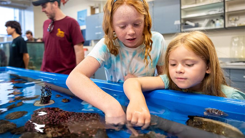 kids touching marine animals in a touch tank