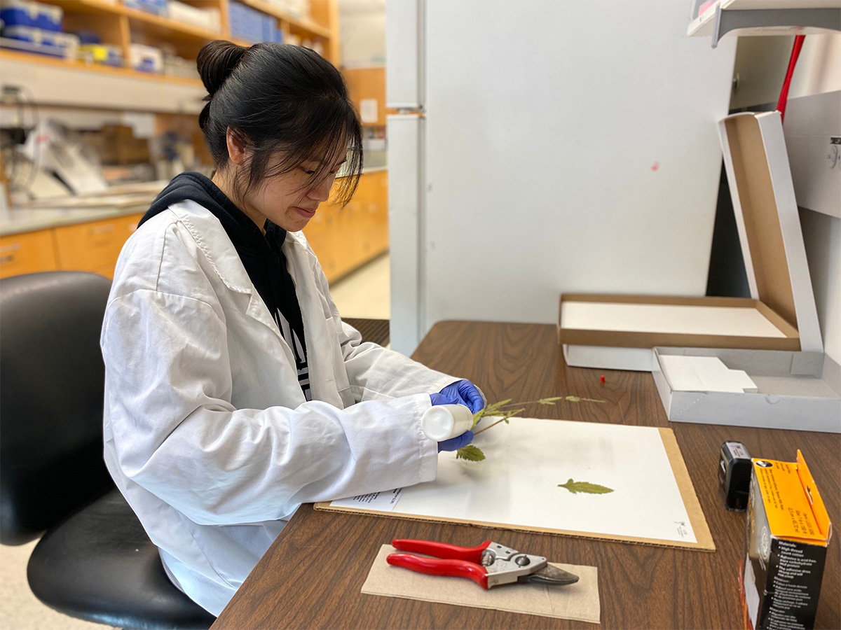 Van in the lab mounting a new specimen