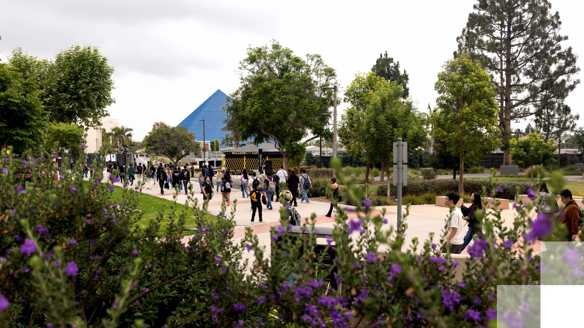 Long Beach College Promise Students walking through a tree-lined campus with the Walter pyramid in the background