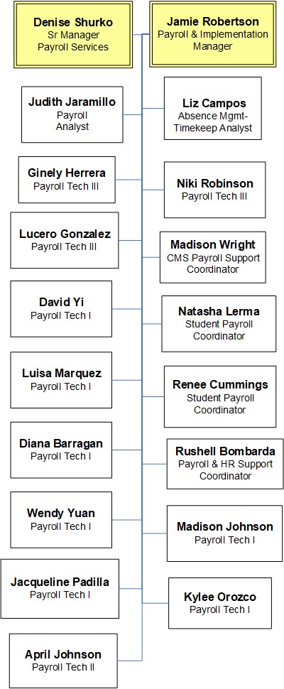 Payroll Service Organization