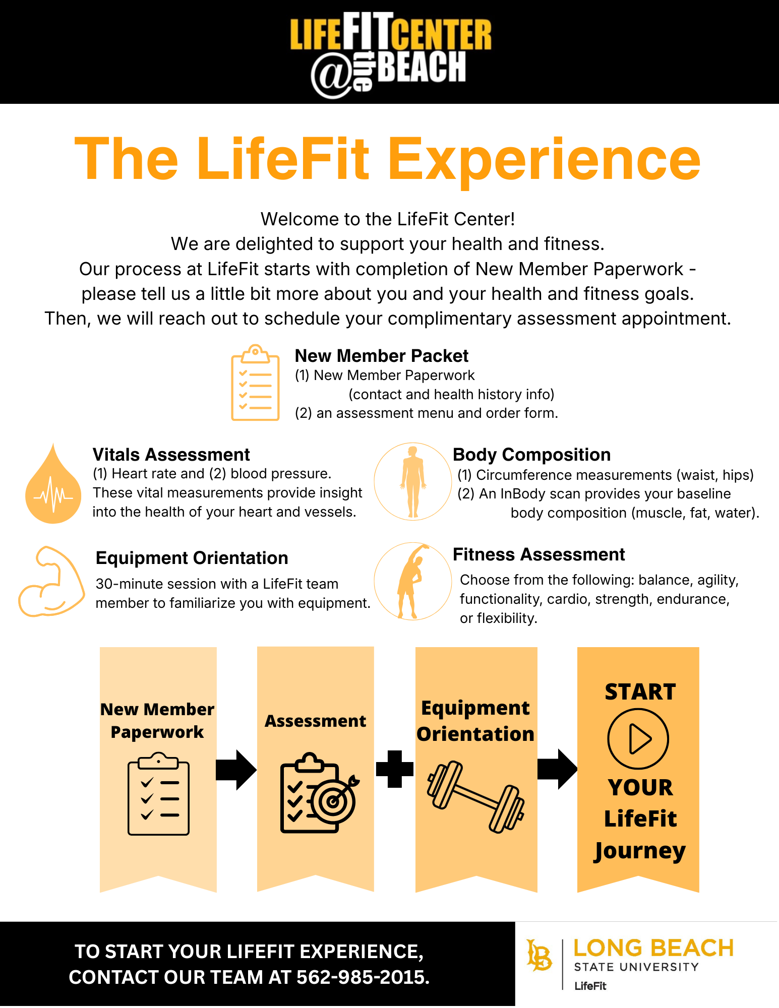 LifeFit Experiance