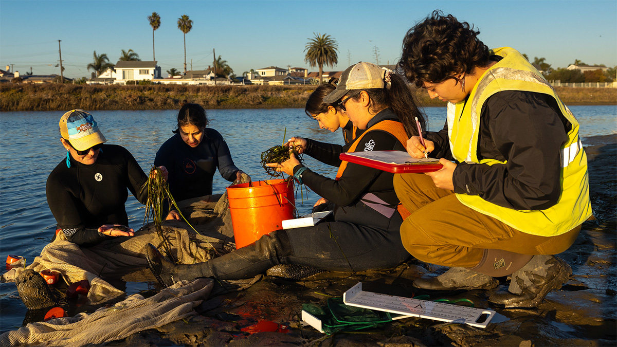 lab members in the field