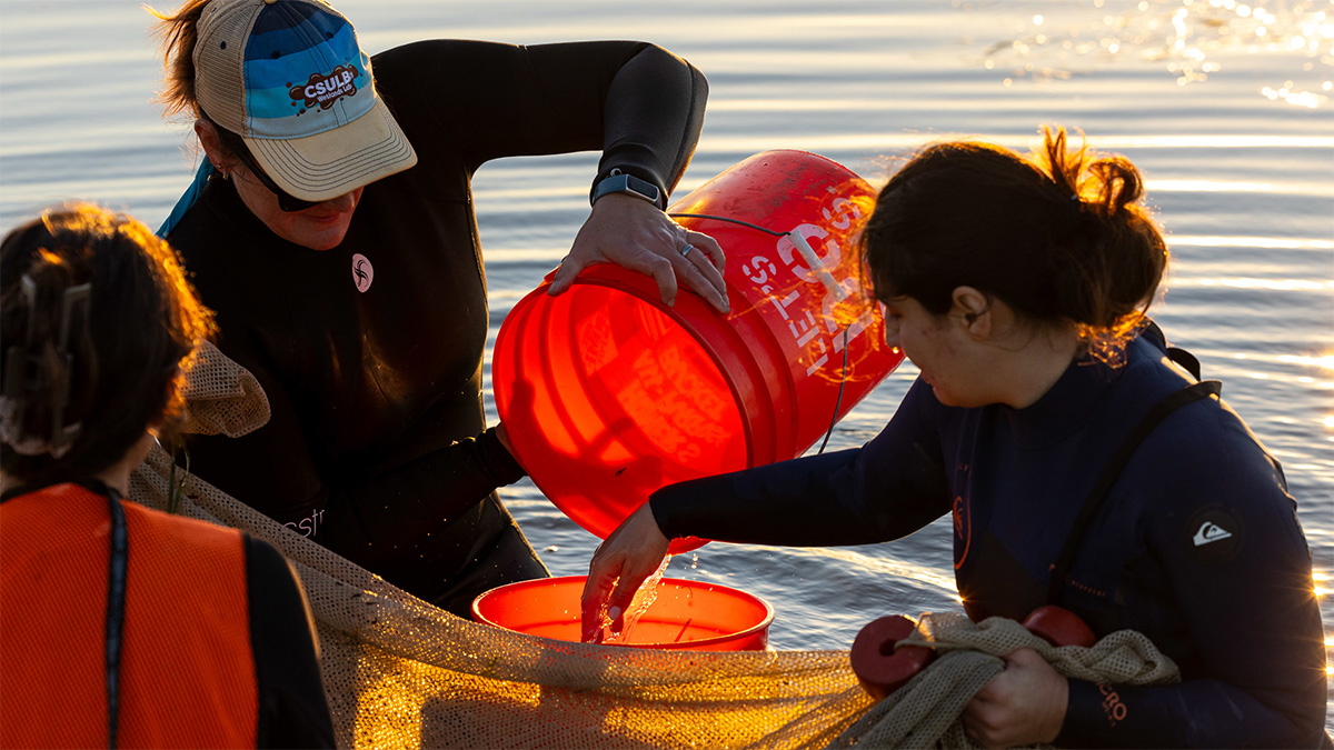 lab members in the field