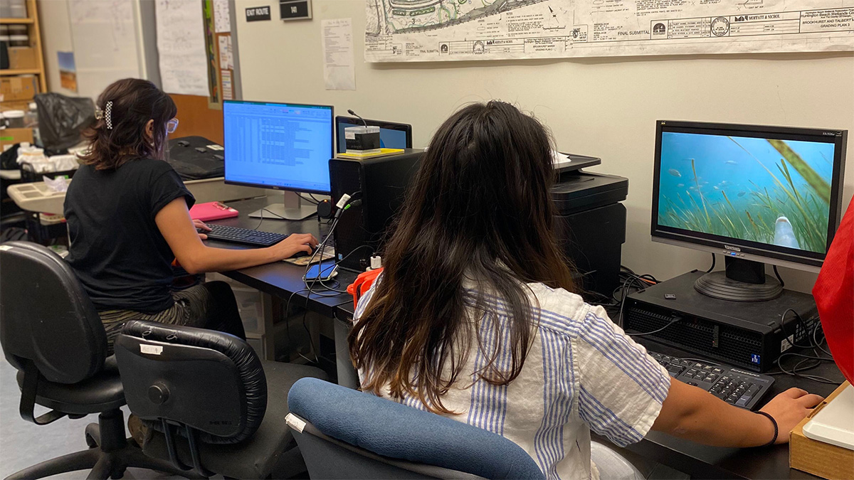 student researchers at computers
