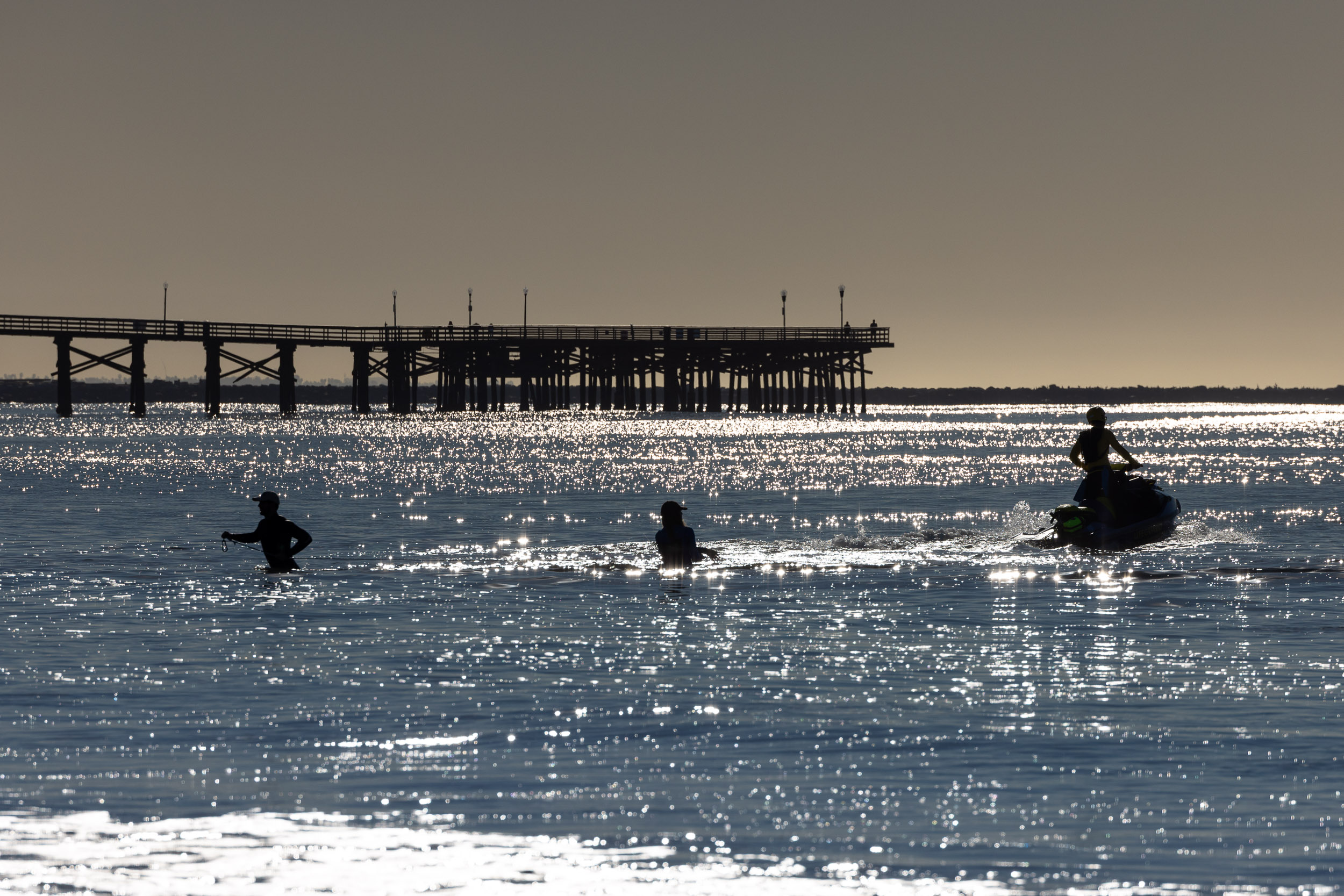 CSULB students beach seining for juvenile white sharks
