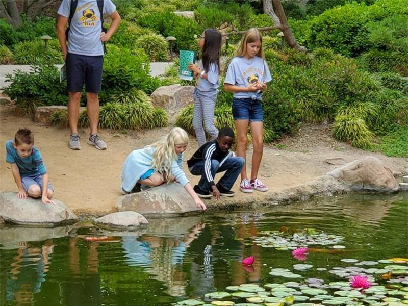 young students exploring the shoreline of a garden pond