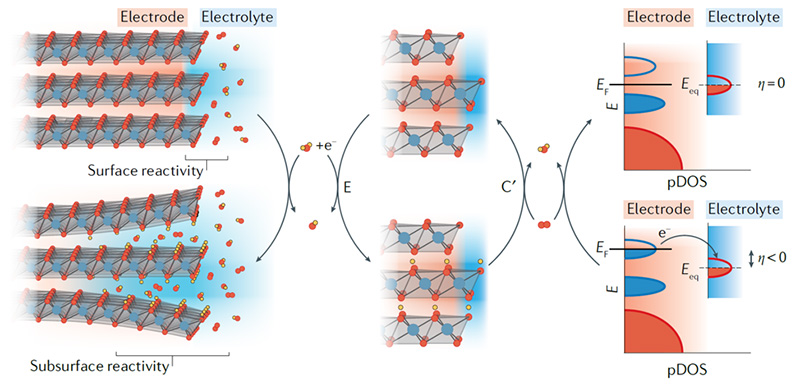coupling in oxygen electrocatalysis