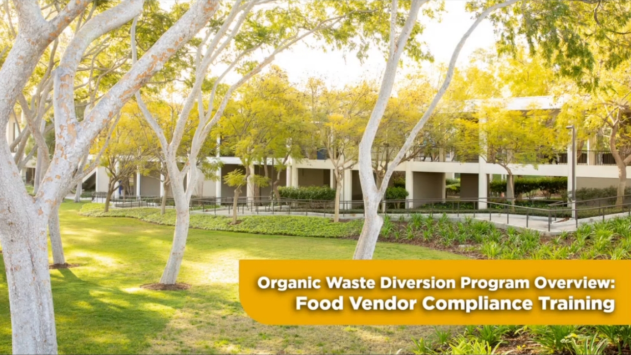 trees and grass with sun