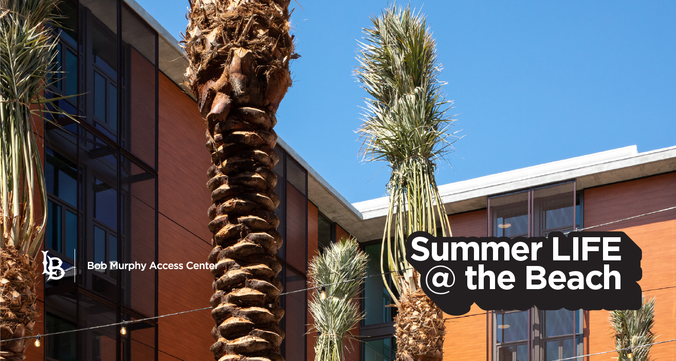 Summer Life at the Beach