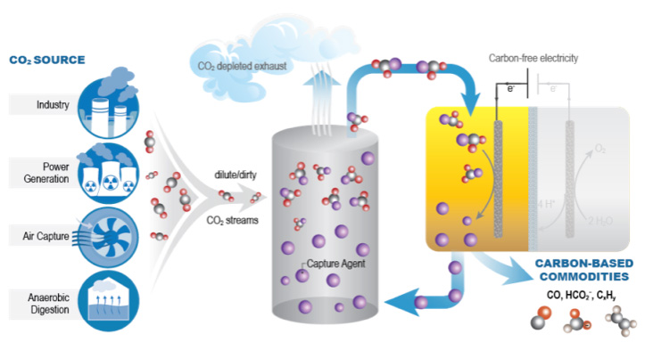 reduction by homogeneous and heterogeneous electrocatalysts to carbon-based products