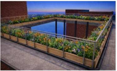 Reimagining Campus Infrastructure Through Retrofitting&nbsp;Grey Rooftops into Green Nature-Based Systems