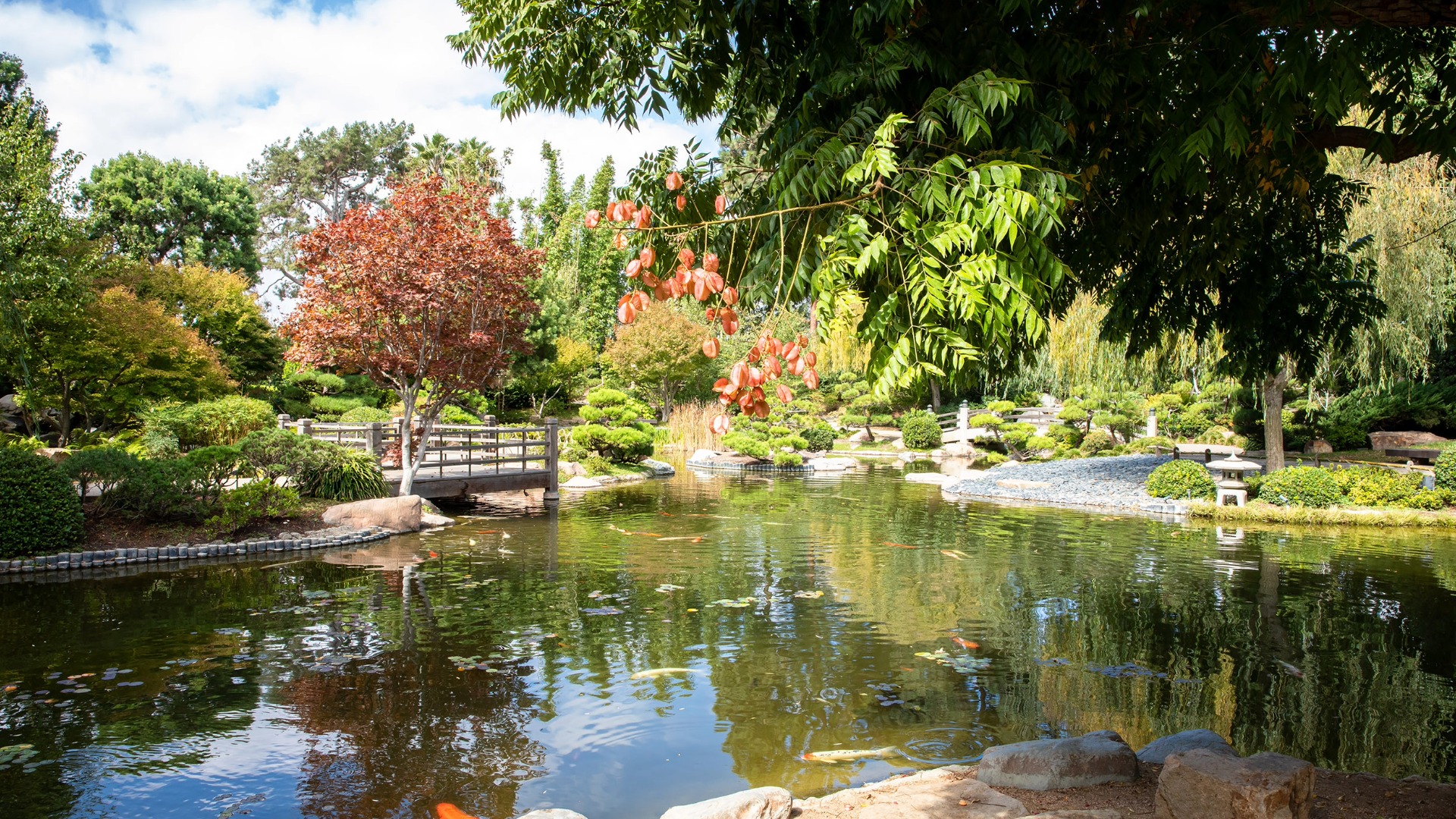 A lake, small bridge and trees in park-like setting