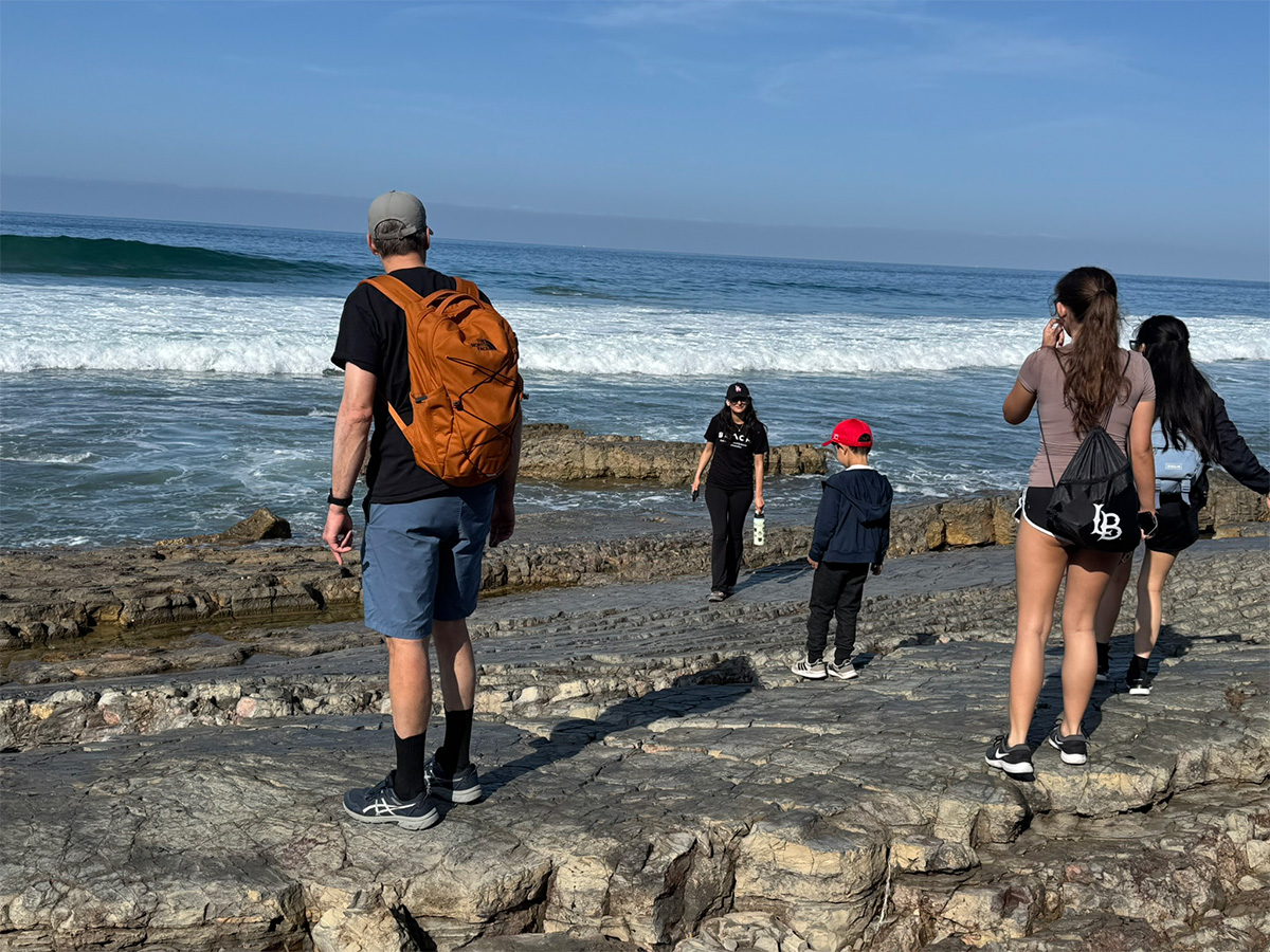 exploring the tidepools