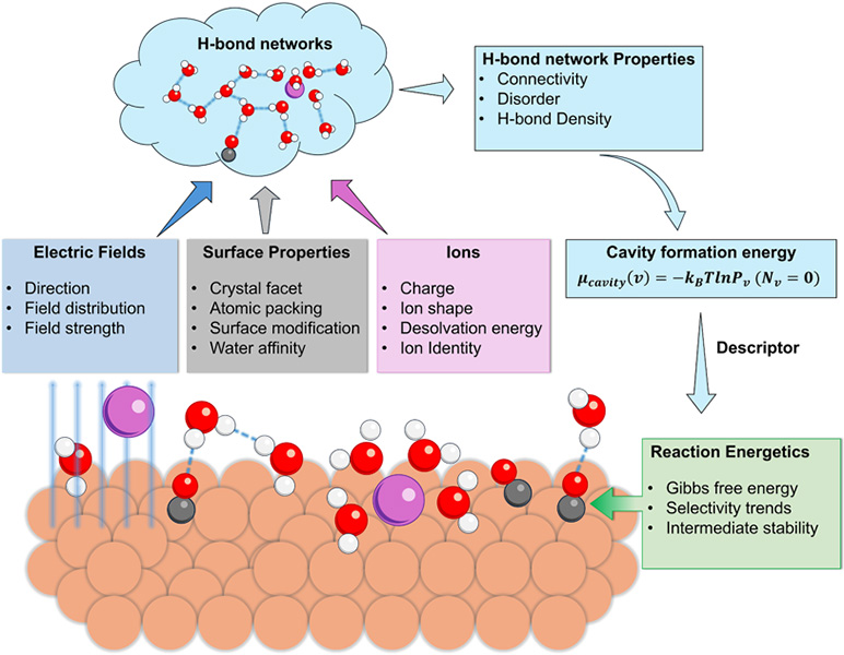 interfacial solvation