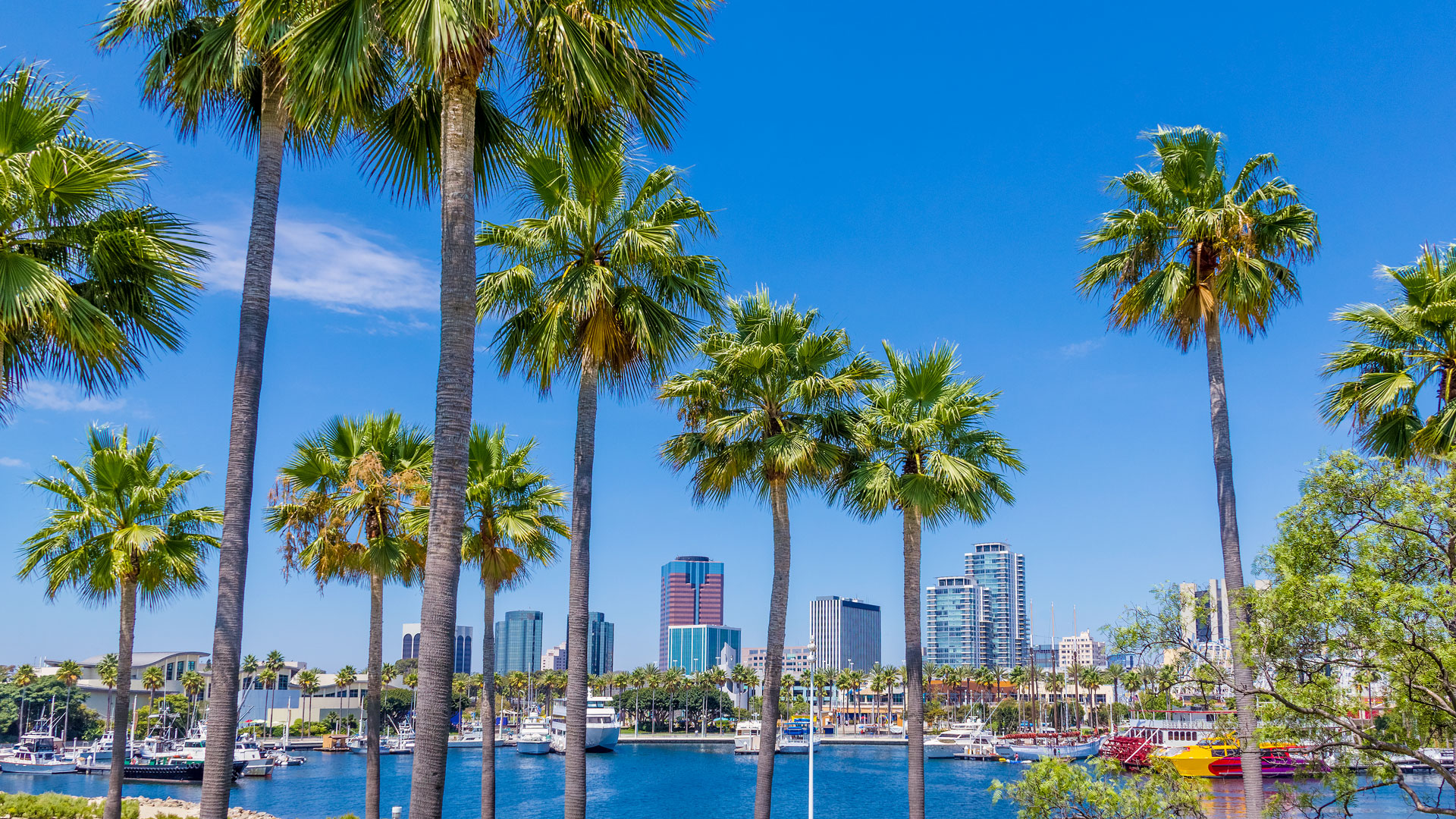 Students at the American Language Institute with downtown Long Beach in the background