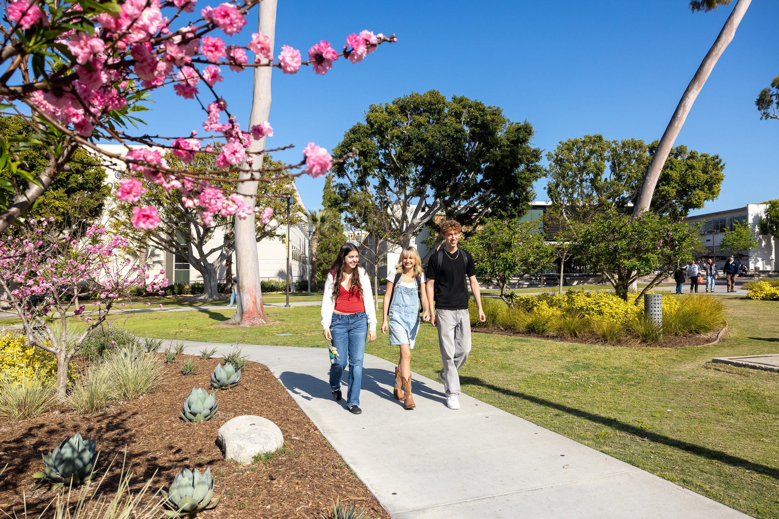 CSULB students on campus during May Intersession