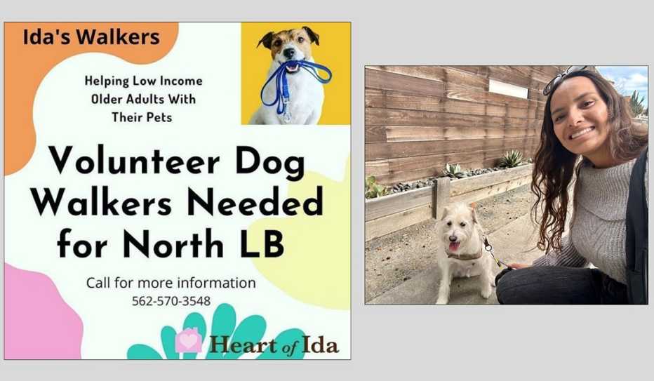 image of a student volunteer and a dog