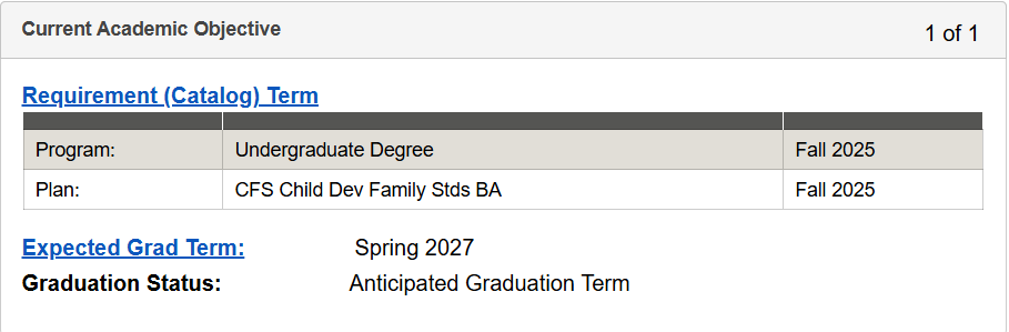 Academic Requirements Report