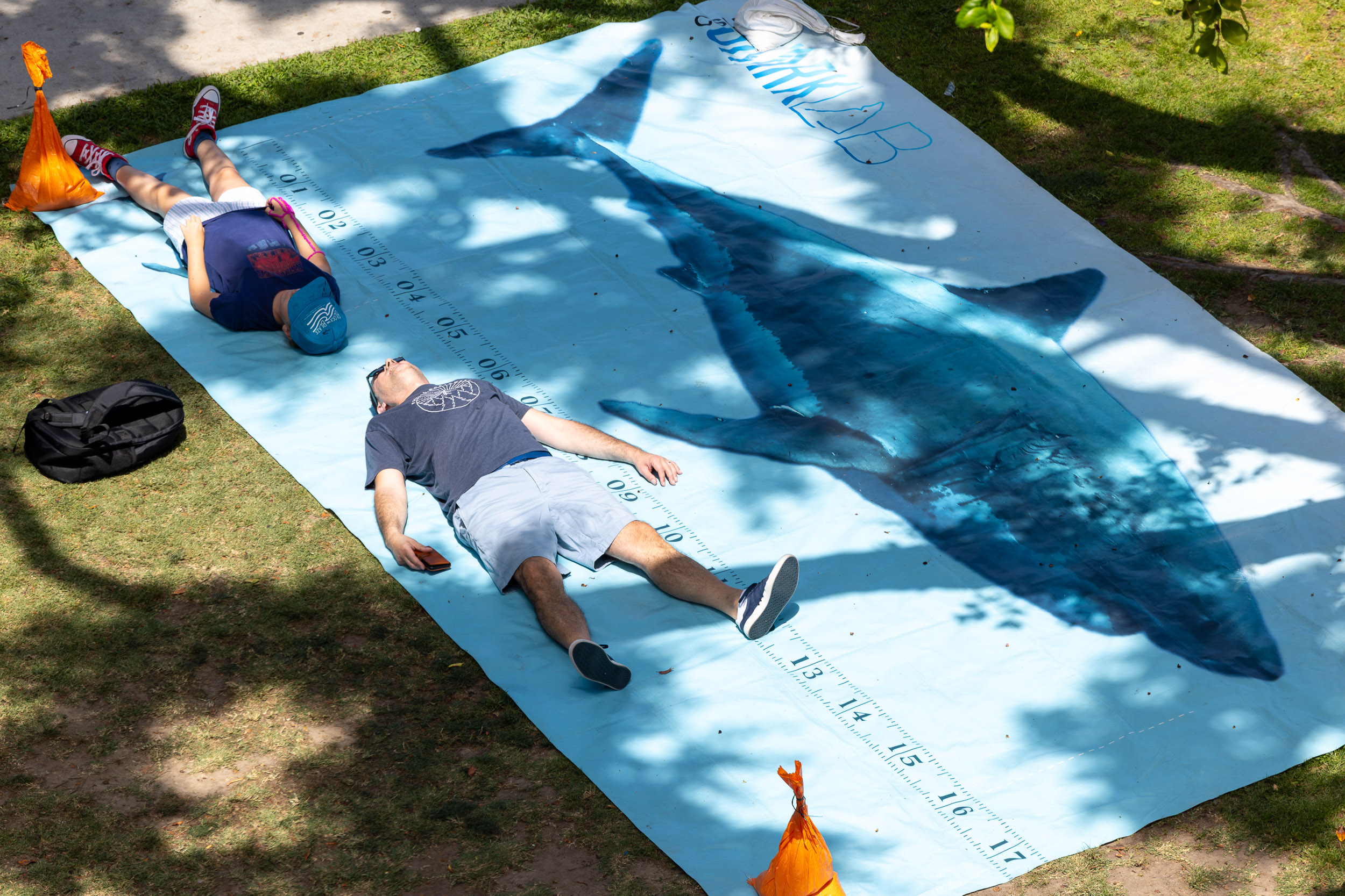 A person lies on the ground beside a large shark-length measuring mat.