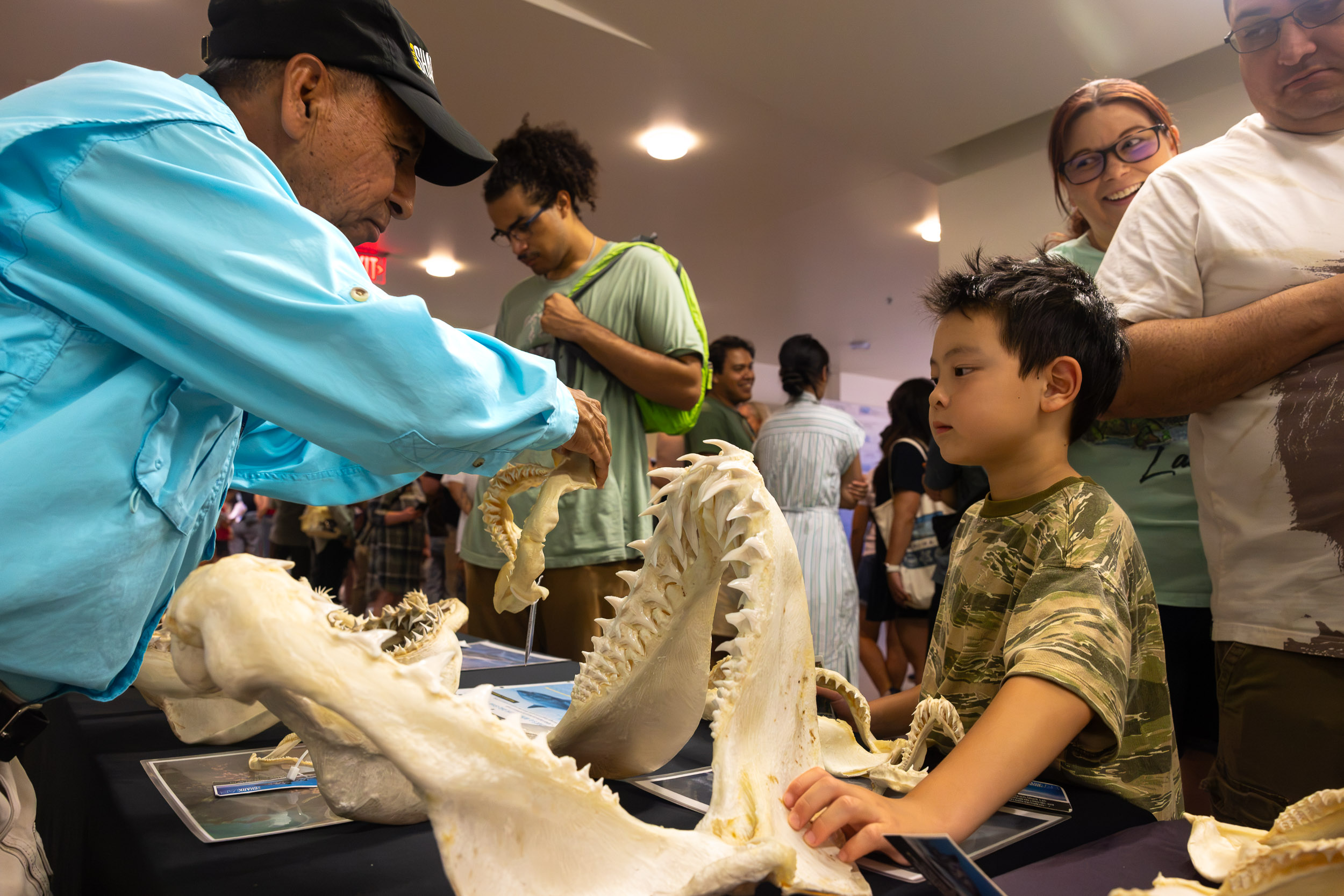 A person shows a child a shark jaw specimen on a display table
