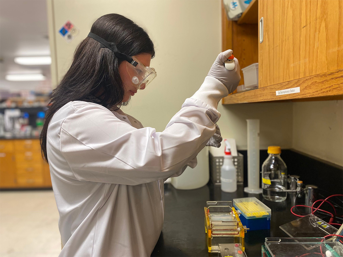 Julia in the lab