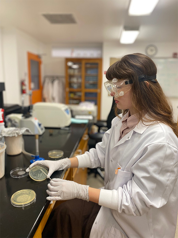 Pheobe in the lab