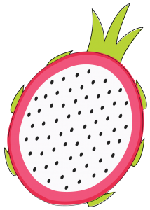 dragon fruit drawing