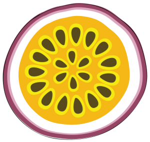 passionfruit drawing