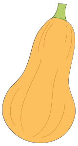 Drawing of squash