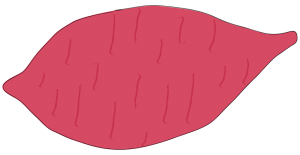 sweet potato drawing