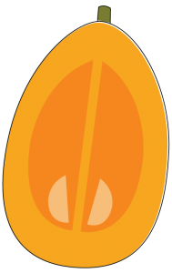 Drawing of kumquat