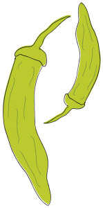 Drawing of green pepper