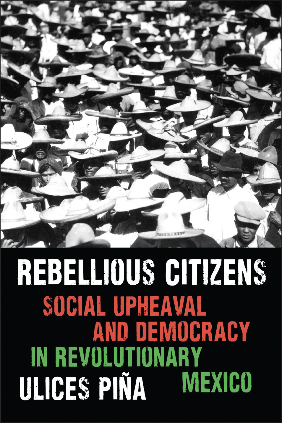 Rebellious Citizens Book Cover