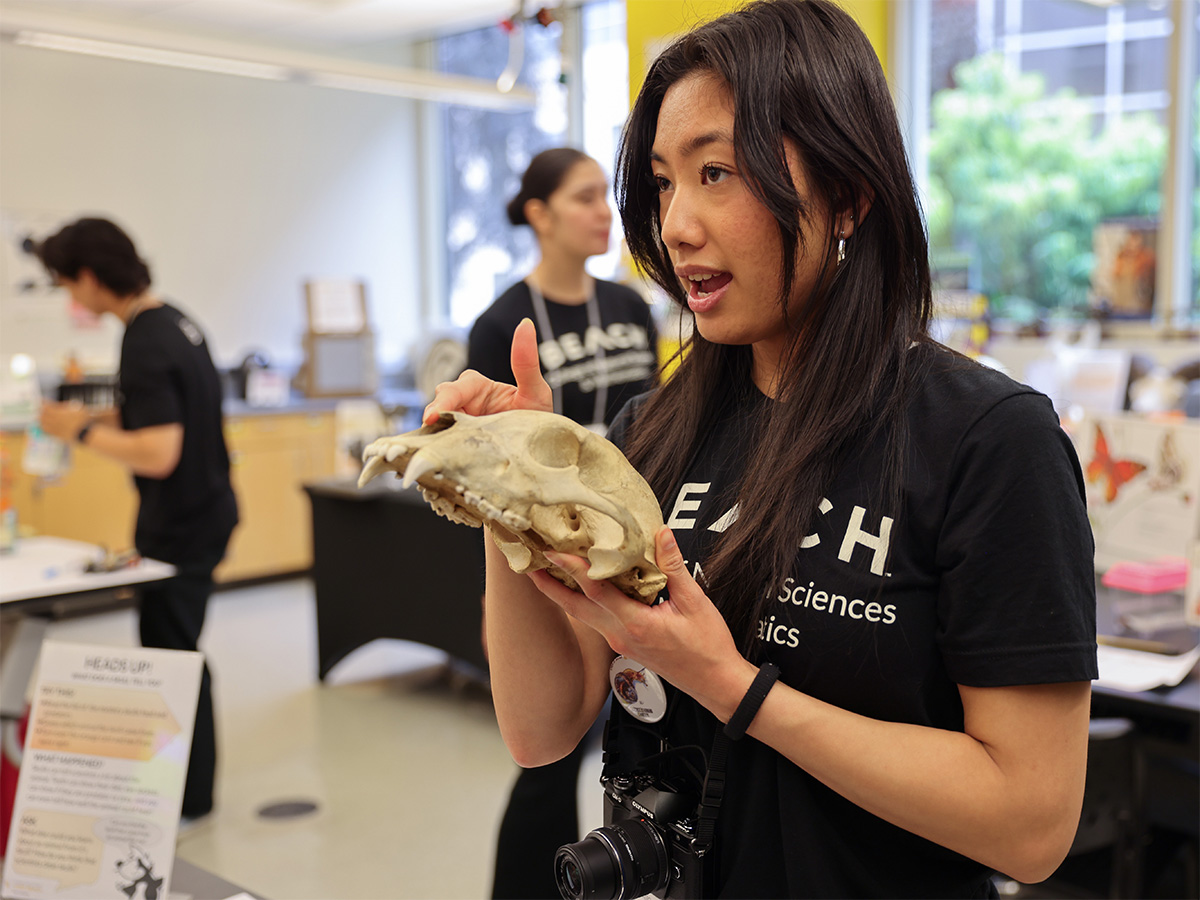 intern holding an animal skull