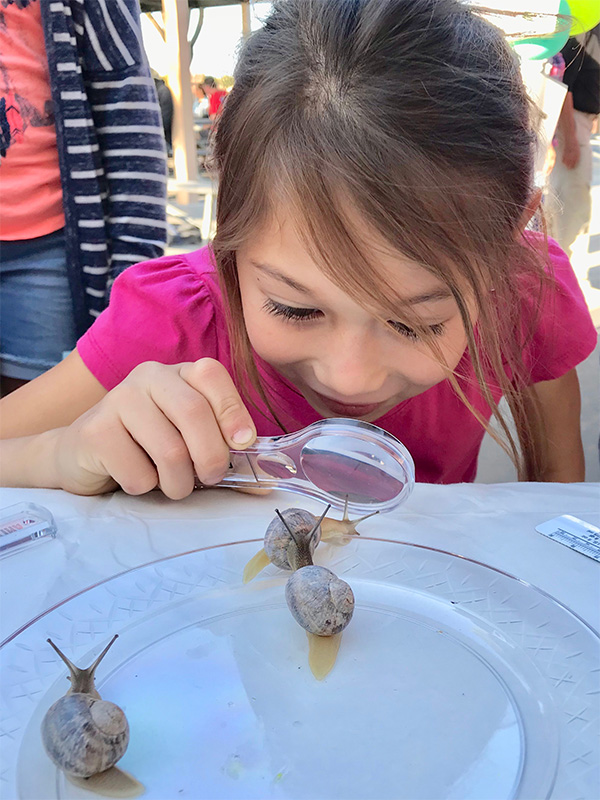young child with magnifying glass examining a snail