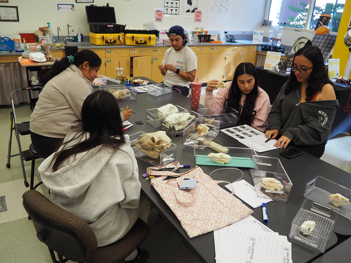 student teachers seated at a table with animal skulls