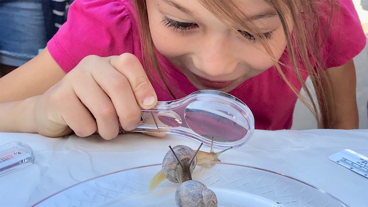 young girl uses magnifying glass to look at the eye stalks of a garden snai
