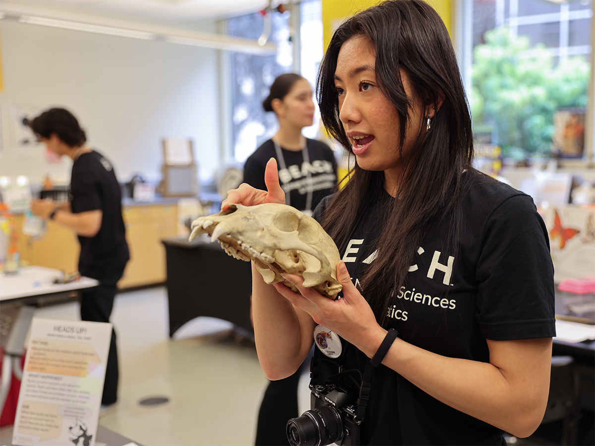 student intern in the Science Learning Center pointing out unique characteristics on a black bear skull.