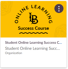 student online learning success course icon