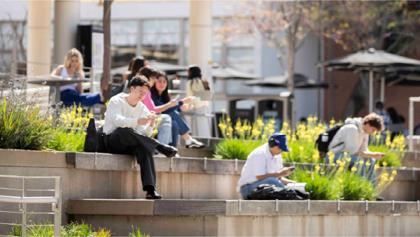 Students sit and study on outdoor campus steps surrounded by landscaping and flowers.
