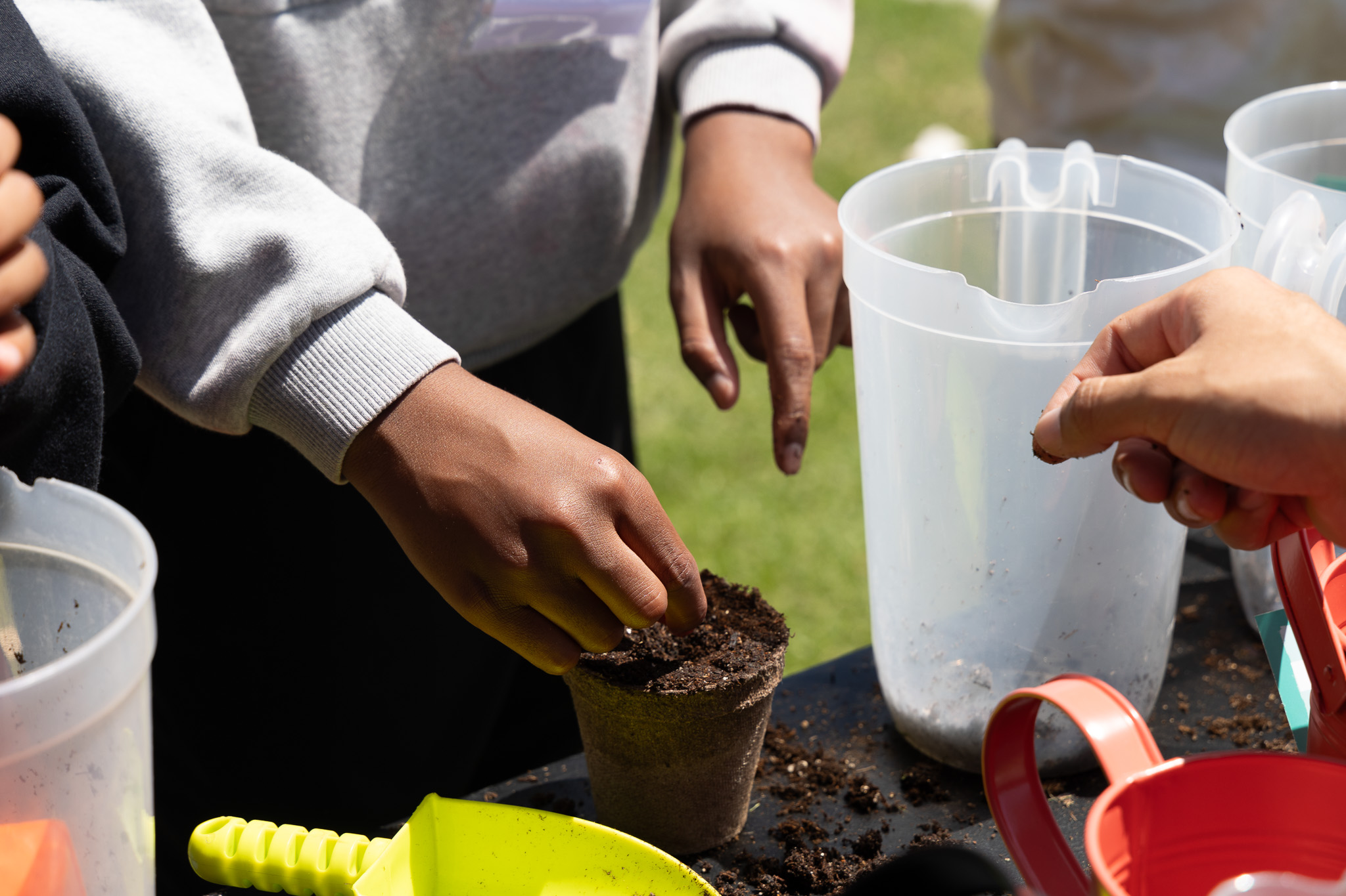 Harvesting Healthy Habits kids planting seeds