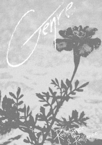 flower in silhouette against the sky
