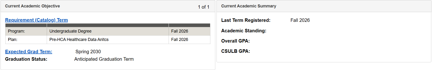 Screenshot of Academic Requirements Report